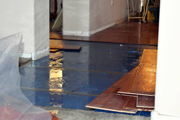 Professional Burst Pipe Cleanup technician working in Leesville, SC